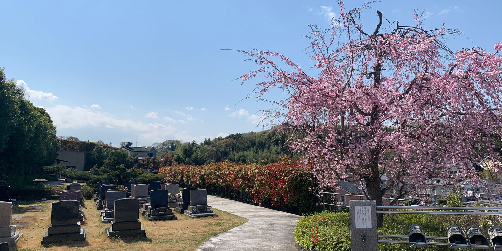 芝生・緑地付墓地