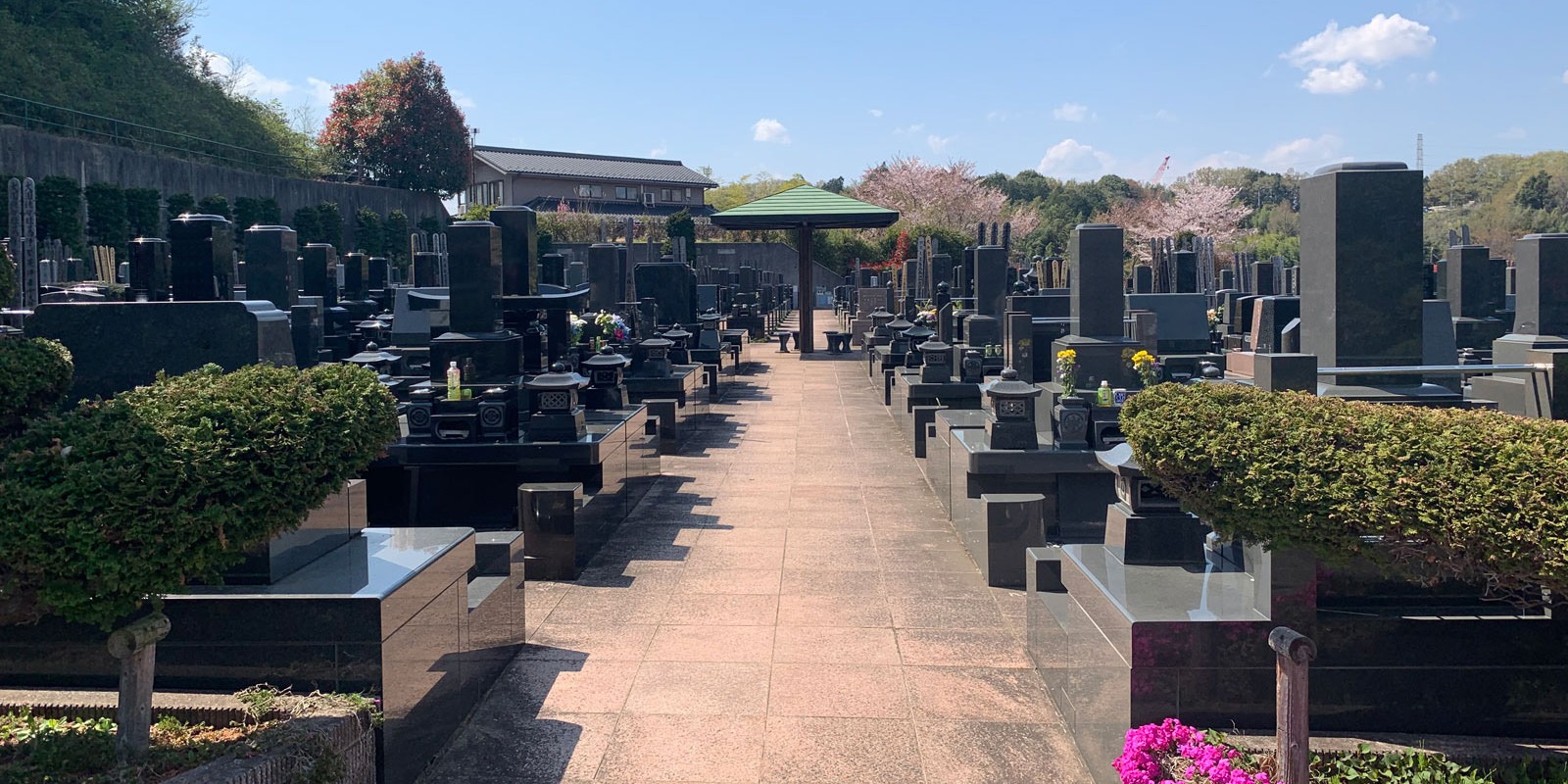 一般墓地
